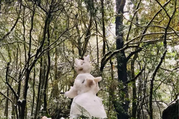 Snowfall in Kathmandu's high hills