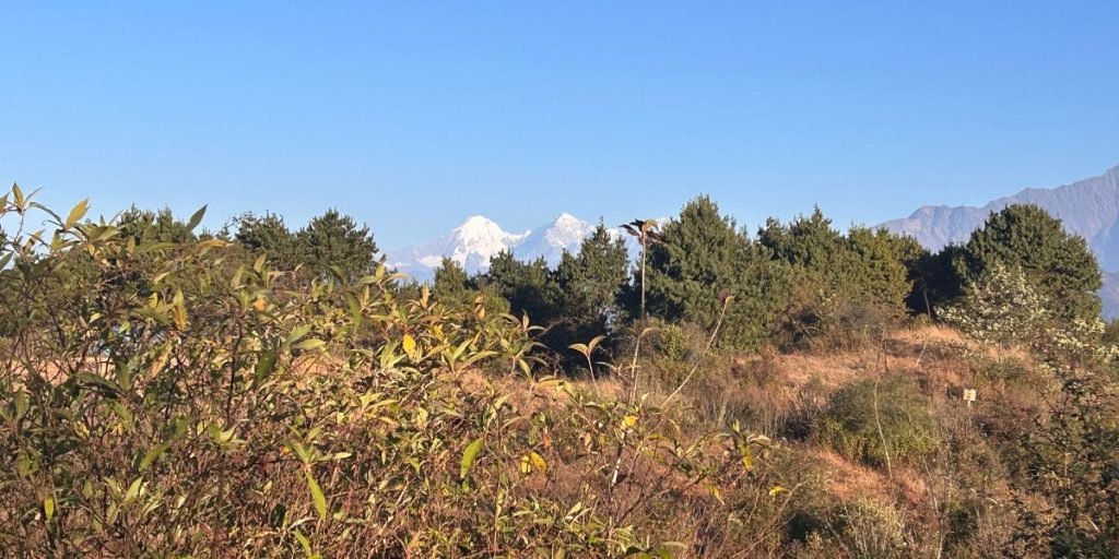 Magnificent view from the Champa Devi Hike