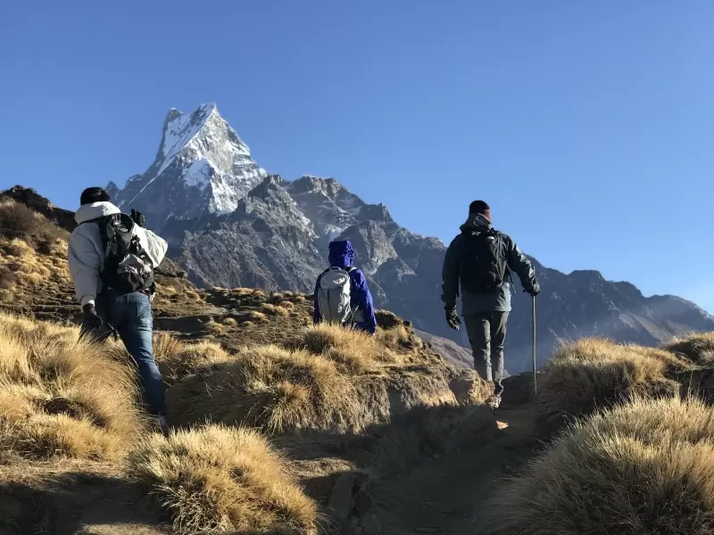 Best time to do Mardi Himal Base Camp Trek